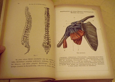 antikes Buch der Hausmedizin als natürliche Heilweise im Jugendstil-Einband