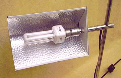 Banker Lampe als flexible Schreibtischlampe fr eleganten Arbeitsplatz-Einsatz im Bro